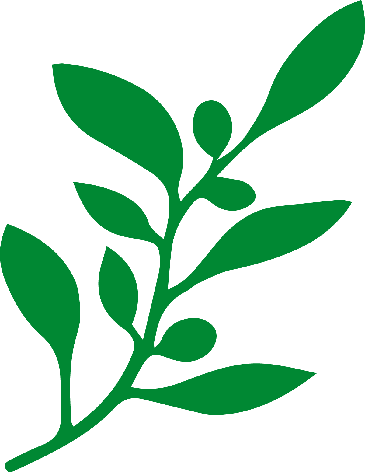 olive_branch